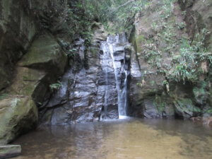 waterfall tijuca forest