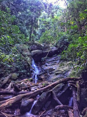 waterfall in Rio de Janeiro